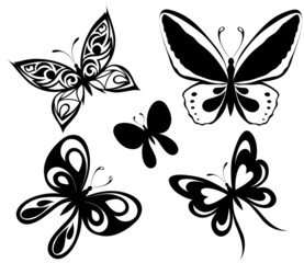 Set  black white butterflies of a tattoo