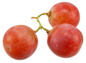 Closeup fresh pink grapes on white.