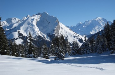Fototapeta na wymiar neige & montagnes