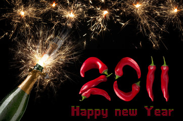 2011 new year