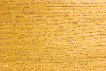 Natural Wood Light Oak Veneer Texture Background Horizontal