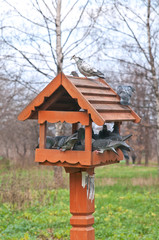 Bird Feeder and Pigeons