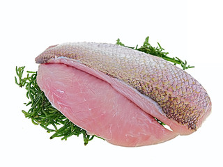 red snapper fish fillet