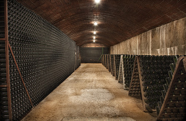 bodega