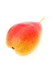 Single Pear Against white