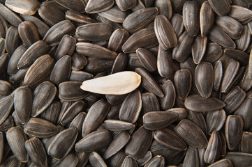 seeds