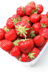Fototapeta na wymiar Freshly picked strawberries in punnet