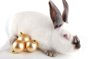 Rabbit and fur-tree toys