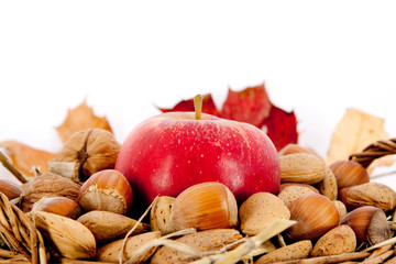 Ein Haufen Nüsse und ein roter Apfel in einem Korb
