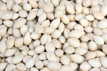 ginkgo seed