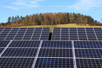 Solar Power Station in the green Nature