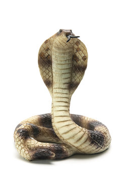 Rubber Cobra
