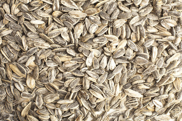 sunflower seeds