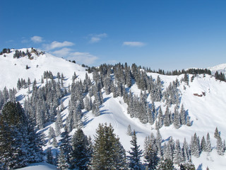 Winter in alps
