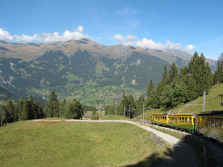 Cog-wheel train with landscape to Jungfraujoch