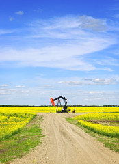 Nodding oil pump in prairies