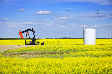 Nodding oil pump in prairies © Elenathewise