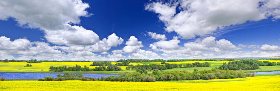 Fototapeta Prairie panorama in Saskatchewan, Canada