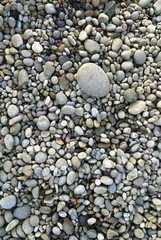 Riverbed pebbles viewed from above
