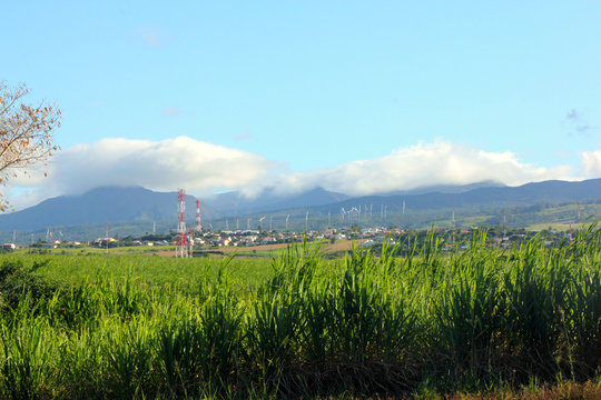paysage 5