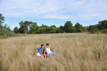 Fototapeta na wymiar happy couple enjoying countryside picnic in long grass