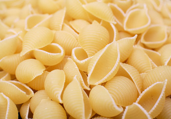 Conchiglie Italian Pasta Shells