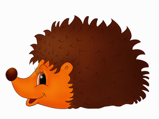 Hedgehog for children