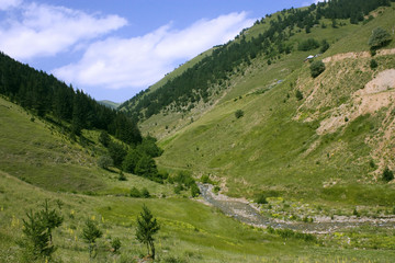 Scenery of Nature