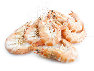 Shrimps with shells on white background