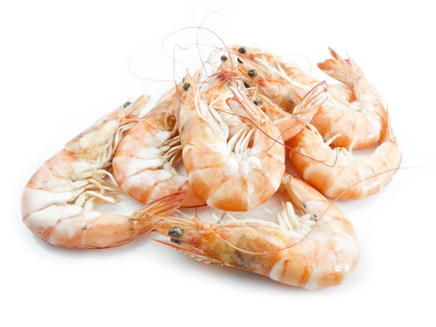 Shrimps with shells on white background