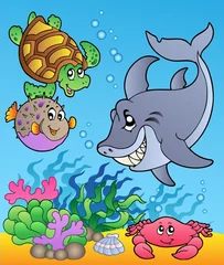 Poster Onderwaterdieren en vissen 1 © Klara Viskova