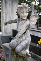 Fototapeta na wymiar Statue d'ange sur une tombe du cimetière de Passy à Paris