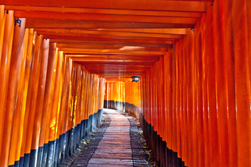 Torii Gates at Fushimi Inari Shrine
