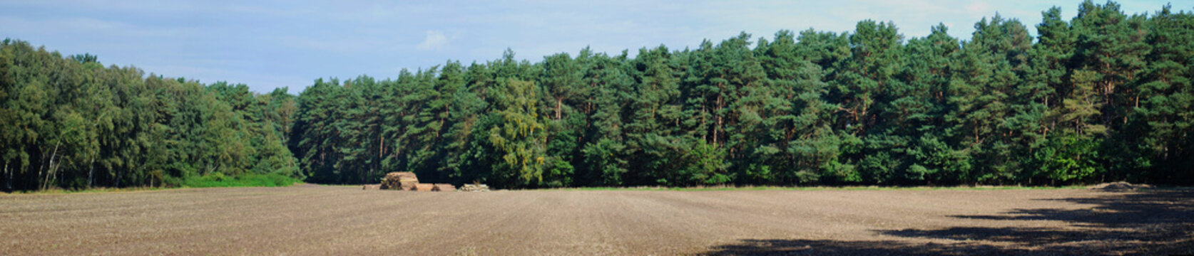 Felder und Wald