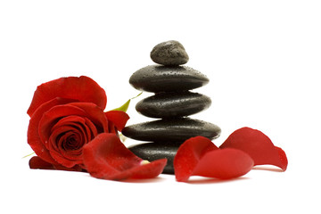 Red flower and black stones isolated