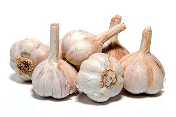 Obraz premium Garlic