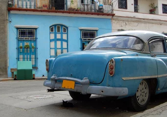 Afwasbaar Fotobehang Cubaanse oldtimers katje &amp  auto