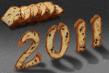 2011 new year