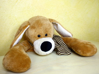 peluche chien , allongé