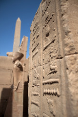 The Hieroglyphs