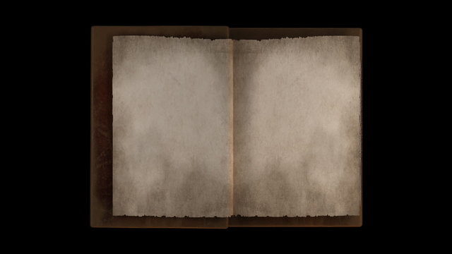 Animated turning pages in old book portrait with alpha channel