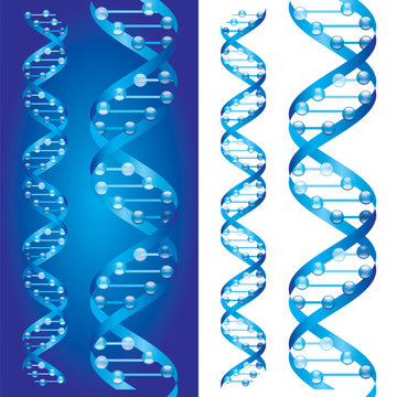 Blueprint D.N.A. chains on blue and white background