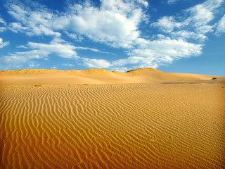 Sand Dunes Landscape
