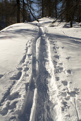 Mountain winter