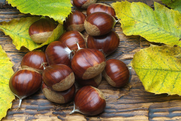 Chestnuts