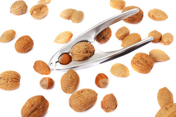 walnut in a nutcracker on white background
