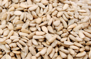 Sunflower seeds