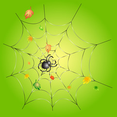 Green background with leafs and a spider on a web