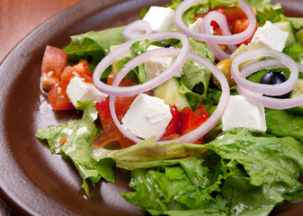 vegetable salad from cheese