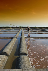 marais salant de Guérande